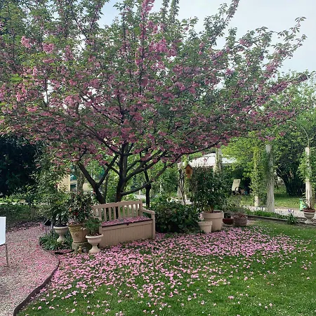 Secret Garden And Cozy Flat