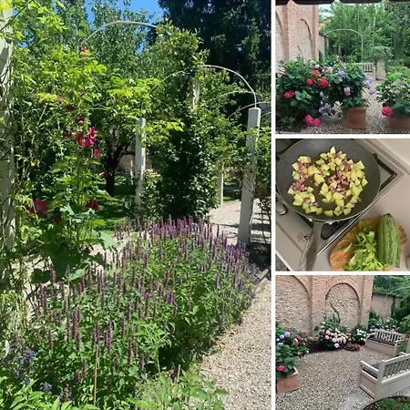 Secret Garden And Cozy Flat Apartment Reggio Emilia