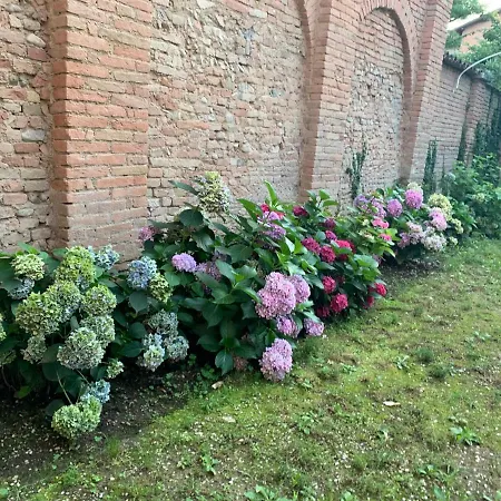 Secret Garden And Cozy Flat * Reggio Emilia