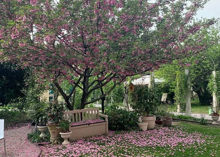 Secret Garden And Cozy Flat