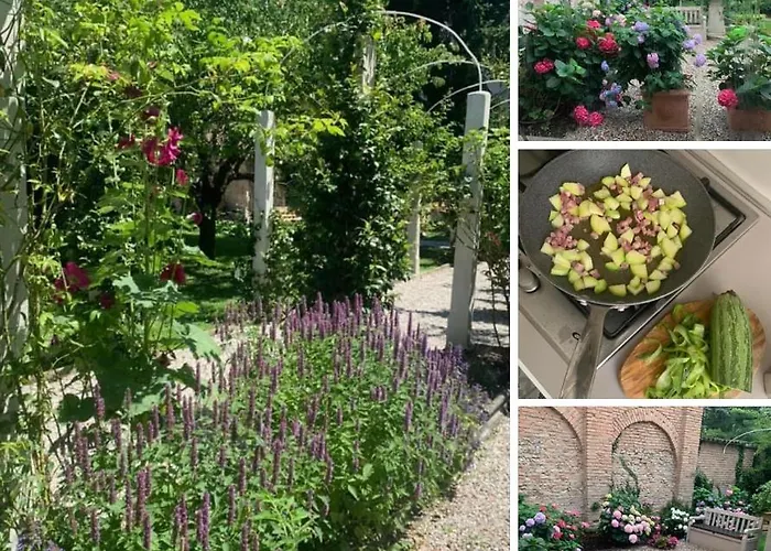 Secret Garden And Cozy Flat Lejlighed Reggio Emilia