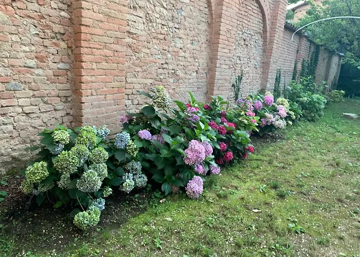 Secret Garden And Cozy Flat * Reggio Emilia